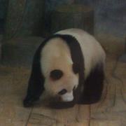 WinonaLyw的个人资料头像