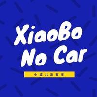 小波儿没有车头像