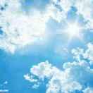 青葱的森林的个人资料头像