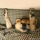 daydayup_的个人资料头像