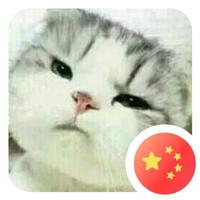 七寸人间207头像