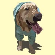 光怪陆离xff的个人资料头像