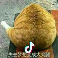 源不圆头像