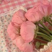 SabaGPT的个人资料头像