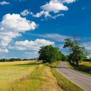 起风了__的个人资料头像