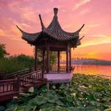 Z叔头像