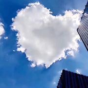 Tai_konaut的个人资料头像