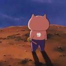 w的个人资料头像