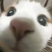 ketian的个人资料头像