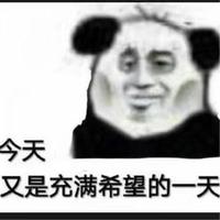 zhr441头像