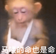 想到抓脑壳的个人资料头像