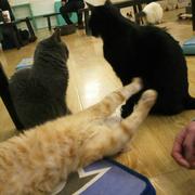 Vitamin_C的个人资料头像