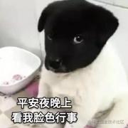 一年130w越南盾的个人资料头像