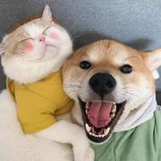 andyBuibui的个人资料头像