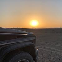 鱼翔浅底V8头像