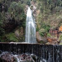 生命之花高山流水头像