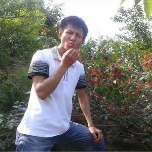 随之缘111头像