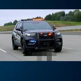 大马熊探长头像