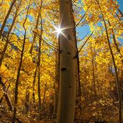 然然最甜的糖的个人资料头像