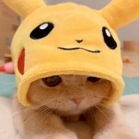 一个人fight头像