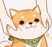 jian146的个人资料头像