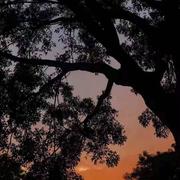 Tofuture的个人资料头像