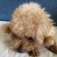 自由宝贝疙瘩头像