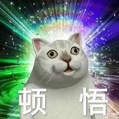 孫猫人头像