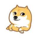 你好咸鱼的个人资料头像