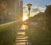 JoyCool的个人资料头像