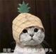 瓦恁弄头像