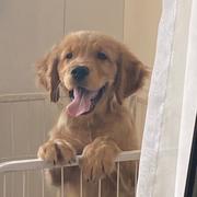 turn的个人资料头像