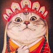 HJC的个人资料头像