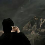 聒噪的个人资料头像