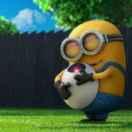 伟笑的个人资料头像