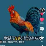 德哥9778头像