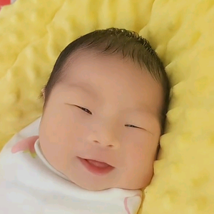 鱼蛋和叶子头像