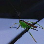 Aikkill的个人资料头像