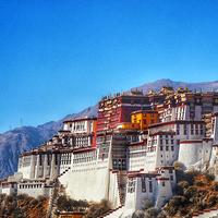 健康阿尔文1P8头像