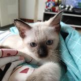 来自星星的我66头像