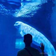 看我不卷死你们的个人资料头像