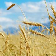 Jun527的个人资料头像