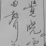 zczmansi头像