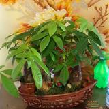 用户55638906013头像