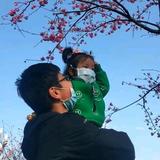 等风的旗头像