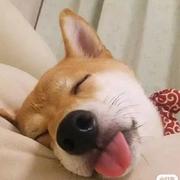 COMME的个人资料头像