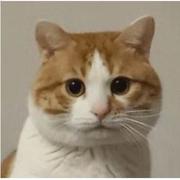 真的78的个人资料头像