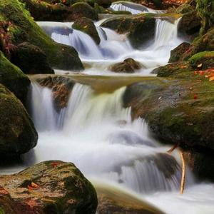 粟陆水龙头像