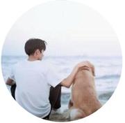 哪来的好好先生的个人资料头像