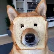 青丶承的个人资料头像